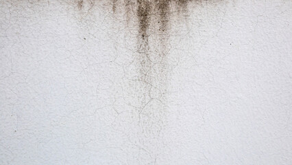Grunge White Wall with Cracks and Water Stains Background
