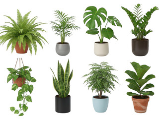 Obraz premium Collection of potted plants isolated on transparent background