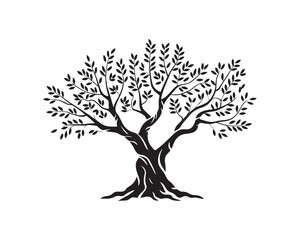 Fototapeta premium A detailed black silhouette of a mature olive tree with a wide trunk and numerous small leaves