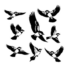 Blue Tits in Flight Vector Illustration Isolated on White © MdAmzad