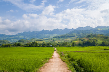 A narrow dirt path leads through lush green rice paddies toward distant forested mountains under a bright sky near Na San, Vietnam. The landscape is sunlit and expansive, evoking a sense of journey