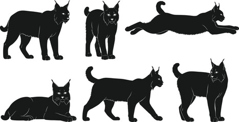 Black cat silhouette collection featuring domestic feline poses isolated on white background, animal vector set for Halloween, pet, and design © ARMAN STOCK