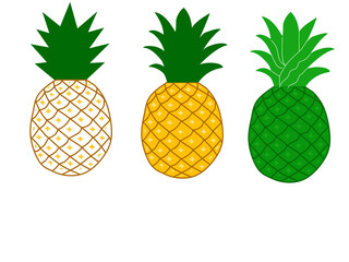A collection of pineapple fruit illustrations. Hand-drawn pineapples in white, yellow, and green.