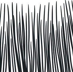 Upward-pointing needles, branches, long grass, or a bunch of lines.