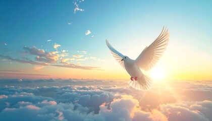 White Dove Flying Above Clouds at Sunset.