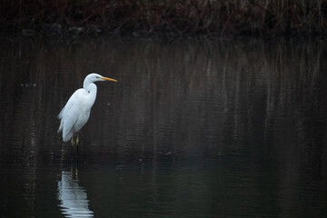 Region Teutoburger Wald