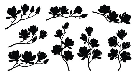 Black silhouette magnolia branches with flowers and buds