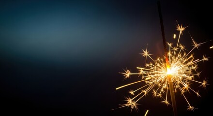 Fototapeta premium Sparkling firework against dark background