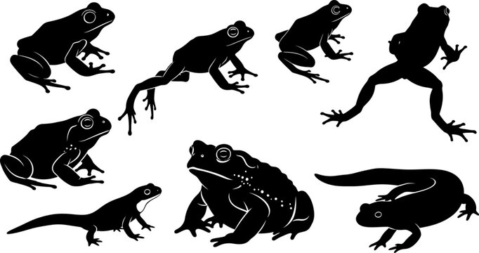 Collection of various frog silhouette poses on white background