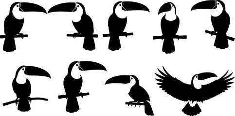 Naklejka premium Silhouette of various toucan poses and flying bird