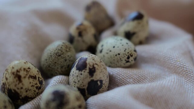Quail eggs are placed in a neat grid on soft fabric. Their unique patterns stand out in soft light.