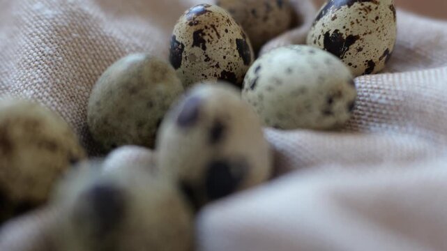 Small quail eggs sit together on a fabric surface in a kitchen, showing different patterns and colors.