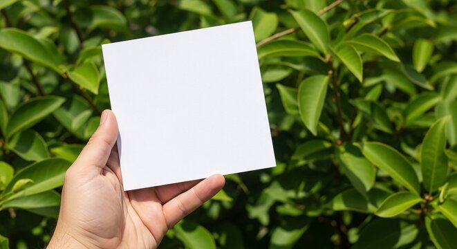 A close-up of a hand holding a square white card mockup in front of lush green foliage in natural daylight, perfect for eco-friendly or organic branding.