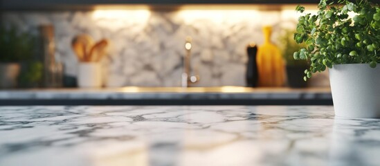 Kitchen Countertop with Plant