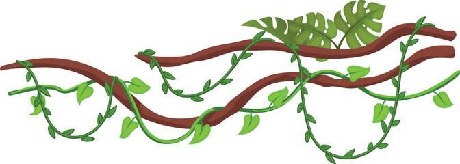 Fototapeta premium Tropical vines hanging top border. Wild rainforest