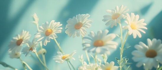 Soft Daisies in Pastel Light
