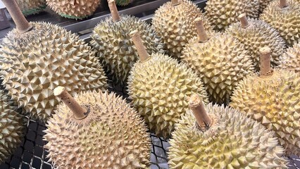 Durian tropical fruits in a market