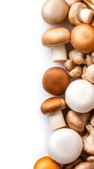 Vertical close-up of assorted mushrooms arranged along a white background, warm brown caps and pale stems now