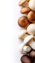 Close-up of assorted beans stacked along the right edge displaying brown, white and cream tones against white