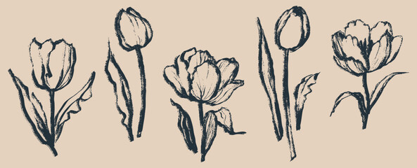 Tulip flowers and leaves drawn with an ink brush. Black plant elements isolated on a beige background. Hand drawn vector flower graphics © Victory