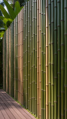 bamboo forest background