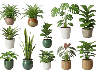 Obraz premium Collection of potted plants isolated on transparent background