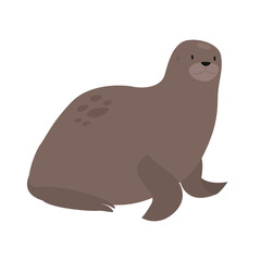 Fototapeta premium Arctic ocean seal. Arctic and antarctic animals, snow sea fauna cartoon vector illustration