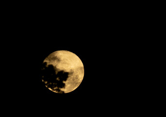 Lua cheia em céu de noite com sombra de galho de árvore.  © Luiz Leite