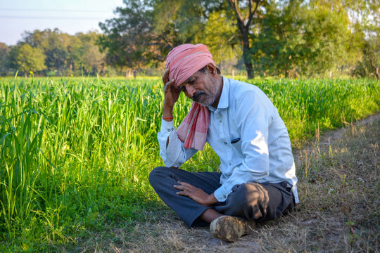 Worried Indian farmer sitting in field holding head in hand due to crop failure or debt