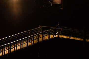 Fototapeta premium Passarela de madeira para travessia de pedestres iluminada por luz amarela. 