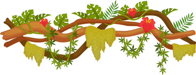 Fototapeta premium Exotic wild greenery. Rainforest tree branches twisted with creepers