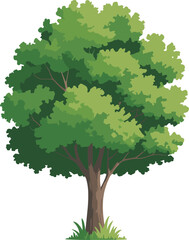 Lush green tree illustration isolated on white background, dense layered foliage and natural canopy, botanical forest plant artwork, eco nature design