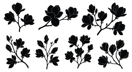Collection of black silhouette magnolia branches with flowers