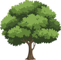 Lush green tree illustration isolated on white background, dense foliage and natural canopy, botanical forest plant design, eco nature concept