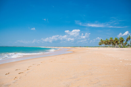 Peaceful Untouched Beach with Golden Sand and Blue Ocean in Puttalam, Sri Lanka