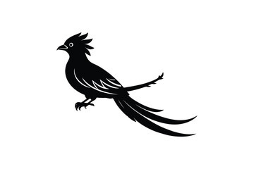 Fototapeta premium Black pheasant bird silhouette on white background, exotic bird, long tail, game bird, illustration