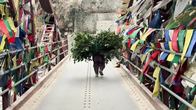 Rural woman carrying a bundle of tree branches on her shoulders while crossing a small bridge, representing traditional village life and daily work in a natural countryside environment.