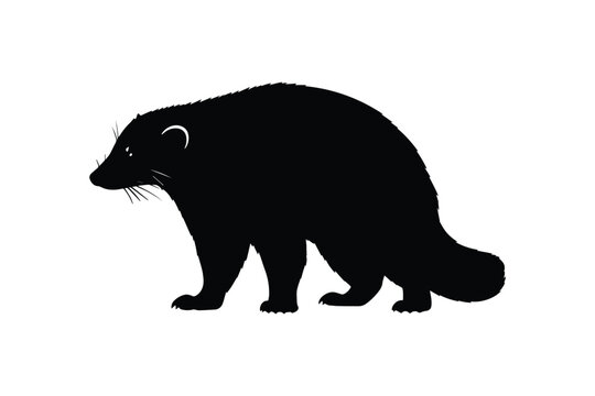 Wolverine silhouette profile view standing wild predator animal symbol boreal forest wildlife nature hunting