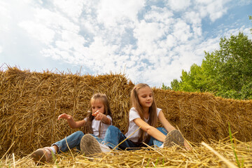 Little girls are sitting in a field with hay with a sunny day. © Mariia