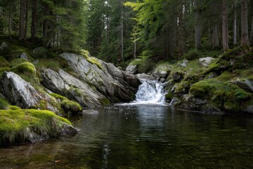 Fototapeta premium Water tumbles gracefully from the rocks into a clear pool, embraced by rich greenery and the calming sounds of nature in the forest
