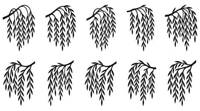 Black silhouette weeping willow branches with leaves