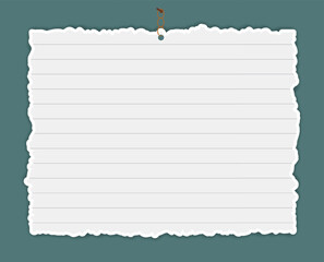 Blank Lined Paper with Torn Edges Pinned to a Board, sheet of paper on a white background, a piece of paper hanging on a rope
