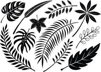 Botanical Silhouettes: A striking collection of various leaf silhouettes, featuring intricate patterns and diverse shapes, perfect for decorative and design elements.
