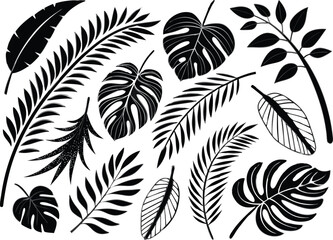 Tropical Leaf Silhouette Set: A collection of detailed tropical leaf silhouette illustrations, each showcasing the unique shape and texture of exotic foliage.