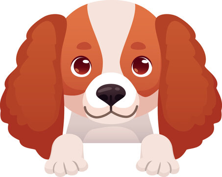 Cute spaniel portrait. Adorable peeking dog breed