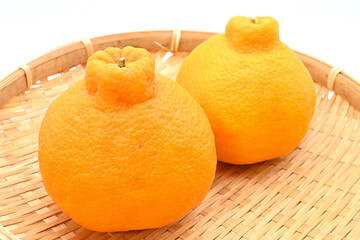 ざるに盛られた新鮮な不知火（デコポン）果実