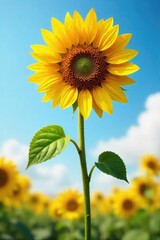 A single, happy sunflower with a comically oversized head, wobbling precariously on its stem Perfect for humorous summer, nature, or garden-themed projects , humorous, stem, summer
