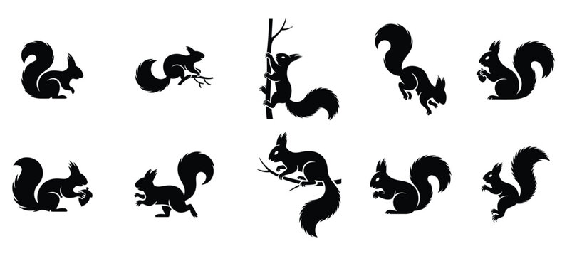 Black squirrel vector silhouettes set in various poses: sitting, jumping, climbing, eating nut, isolated on white