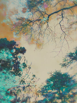 grunge background with tree