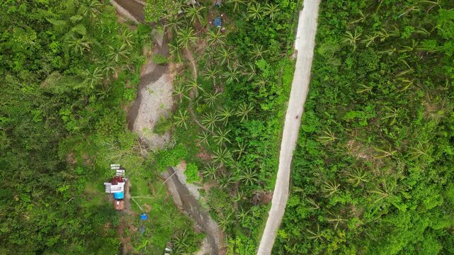 Picturesque aerial top-down view of a lone motorcycle driving along hillside road amid lush tropical jungle greenery - Catanduanes, Philippines